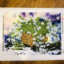 Підсніжники