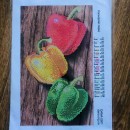 Кольорові перці