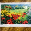 Яскраве поле