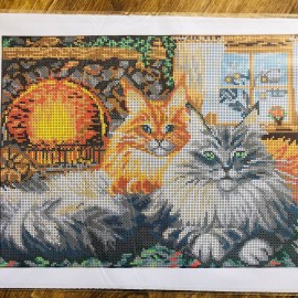 Два кота