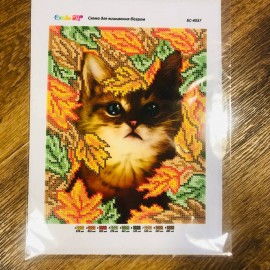 Осінній котик