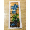 Орхідея синя