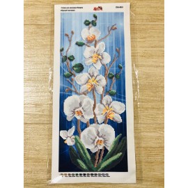 Біла орхідея