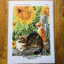Котики та соняшник