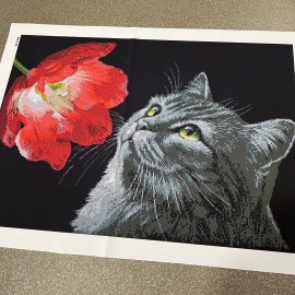 Котик з квіткою