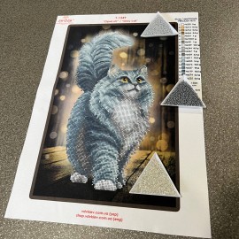 Сірий котик